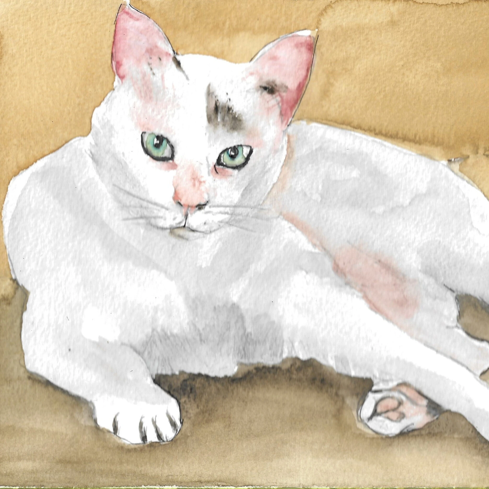 pintura gato blanco
